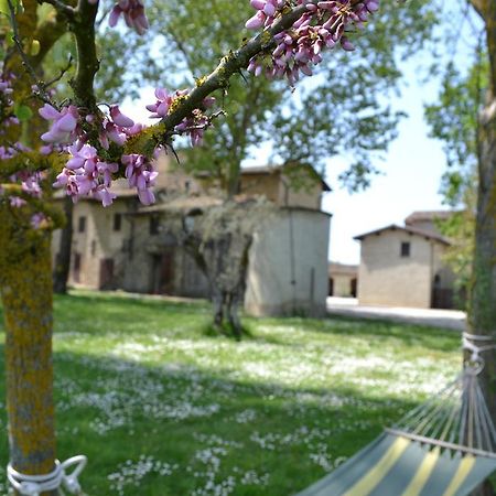 Agriturismo Nestore Extérieur photo