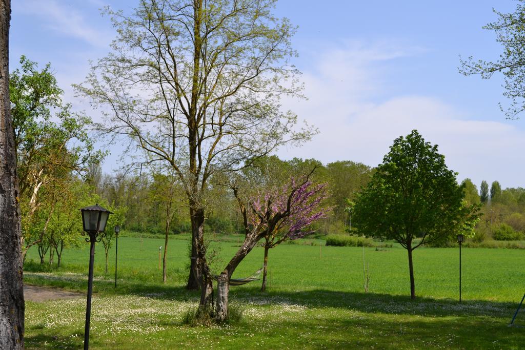 Agriturismo Nestore Extérieur photo