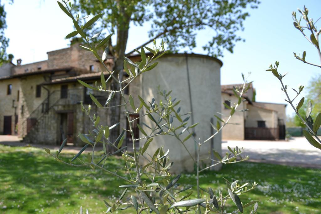 Agriturismo Nestore Extérieur photo